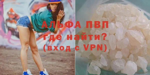 сатива Алзамай