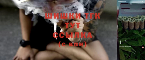сатива Алзамай
