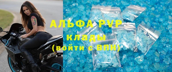 сатива Ростов