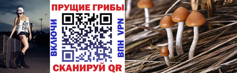 Псилоцибиновые грибы ЛСД  цены наркотик  Хвалынск 